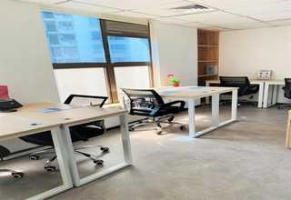 广东木头扒皮机