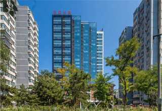 昆明仿真植物量大从优