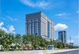 辽宁龟蚁虫珀多少钱